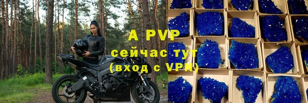 spice Верея